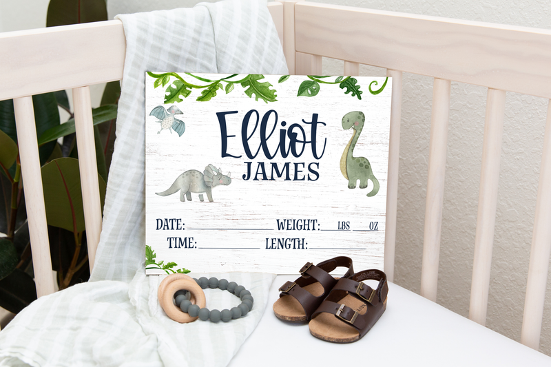 Dinosaur Birth Stat Sign