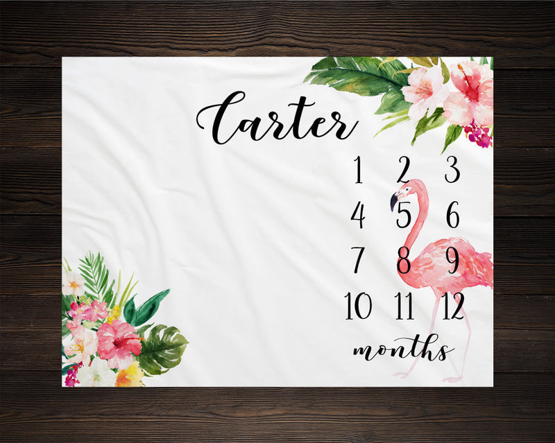 Flamingo Girl Milestone Blanket