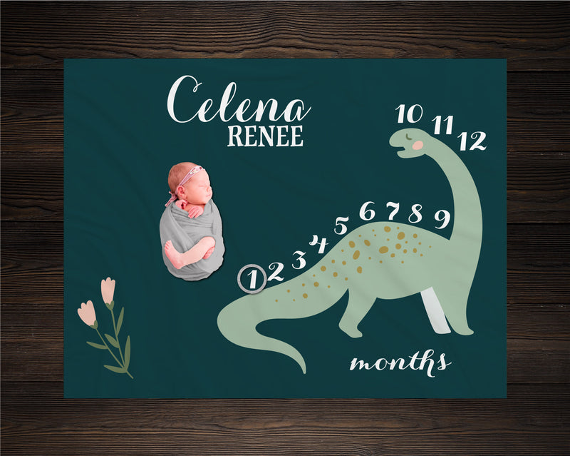 Dinosaur Milestone Blanket