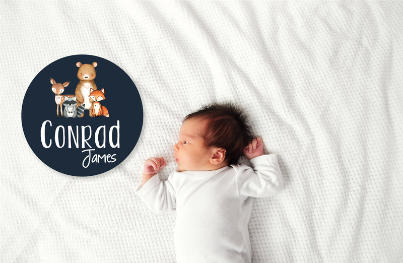 Woodland Animals Baby Name Sign